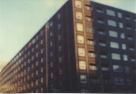 turfmarkt-0036